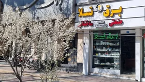فروشگاه برق تسلا 2
