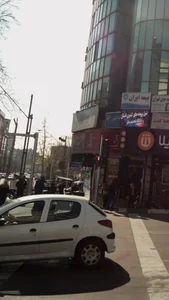 گیاهان دارویی ابوعلی سینا 2
