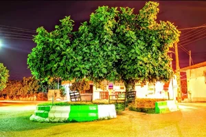 میدان انجیر