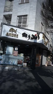 پروتئین آندره 3