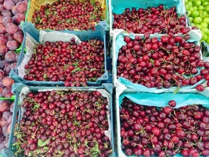 میوه فروشی باغ بهشت 2