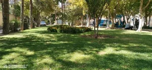 بوستان علوی 2