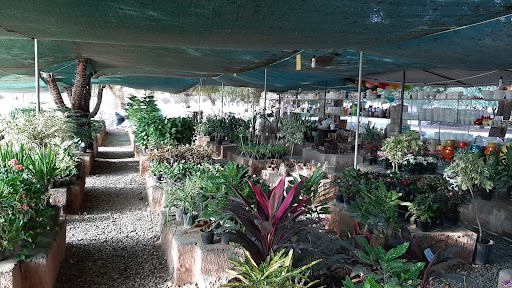 گلفروشی مزرعه بادیل