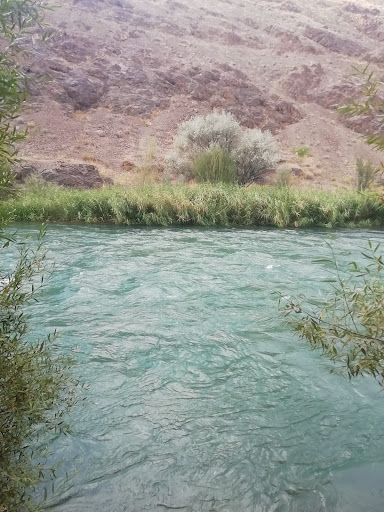 باغ خانوادگی صولت الدوله قشقایی