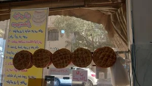 بربری 5