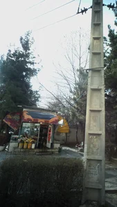 دکه گل فروش 2