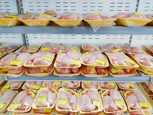 Dorsa Chicken Meat Store
