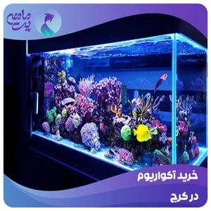 اکواریوم فلاور سیتی