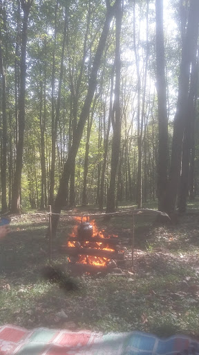 مشاور املاک کلبه