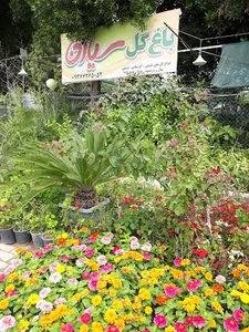 باغ گل سیاژن