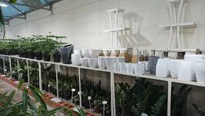 گلخانه طبیعت
