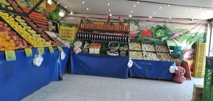 میوه و تره بار پیمان