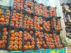 میوه فروشی مصطفی ابدال 3