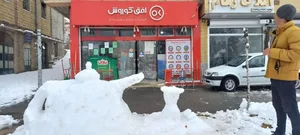 فروشگاه افق کوروش 2