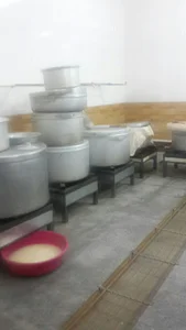 تهیه غذا آریا
