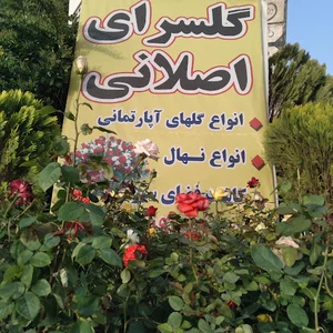 گلسرای اصلانی