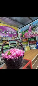 کیمیاسعادت