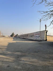دامداری سالار عرضه دام