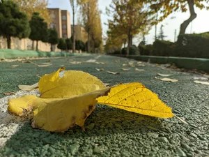 پیست دوچرخه اندیشه
