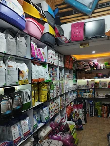 پتشاپ مایسا