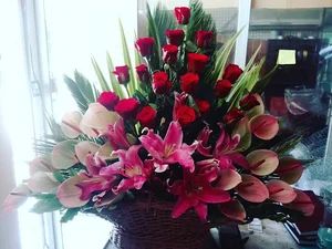 موسسه گل امپراطور