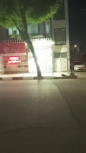 الکتریکی مانی