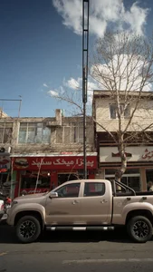 پیتزا میخک سفید 3