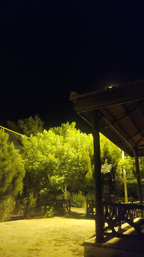 Garizat Library