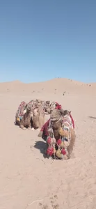 کویر