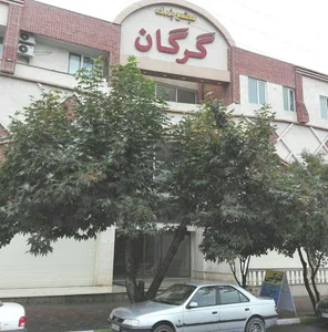 تایپ و تکثیر محسن