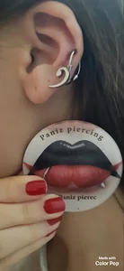 Panizpierec