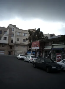 پروتئین گل گندم 2