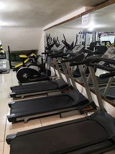 باشگاه بدنسازی اریکه ایرانیان