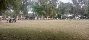پارک میراث فرهنگی (ویندی پارک) 4