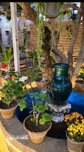 کافه شاتوت