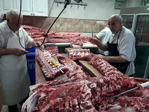 پروتعین برادران شهبازی