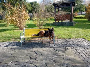 بوستان باغ نارنج 4
