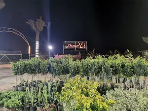 گلخانه باغ فردوس