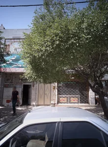 بدلیجات ارغوان 2