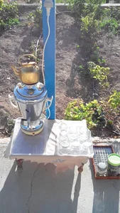 باغ ونوس