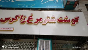 قصابی شترمرغ زاگرس-مختوایی