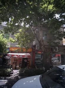 سوپر پروتئینی 2