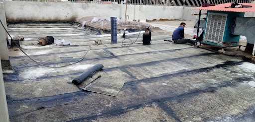 ایزوگام عباسی