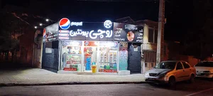 روچی پروتئین