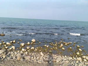 شهرک دریا