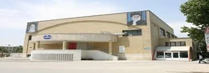 مدرسه فوتبال تهرانی
