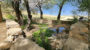 چشمه سفید
