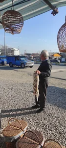 ایست بازرسی و هنگ مرزی آستارا