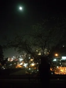 فضای سبز