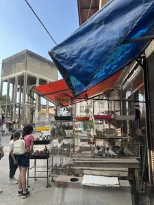 میدان شهرداری